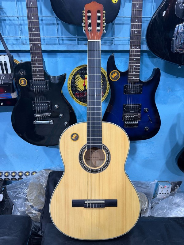 Deviser L310N Classical Guitar